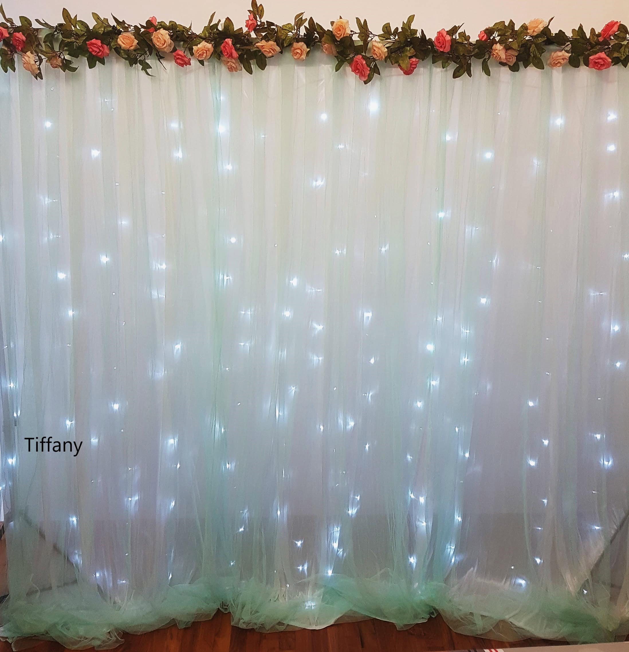Colour backdrop with stand, LED fairy lights, with flower vines